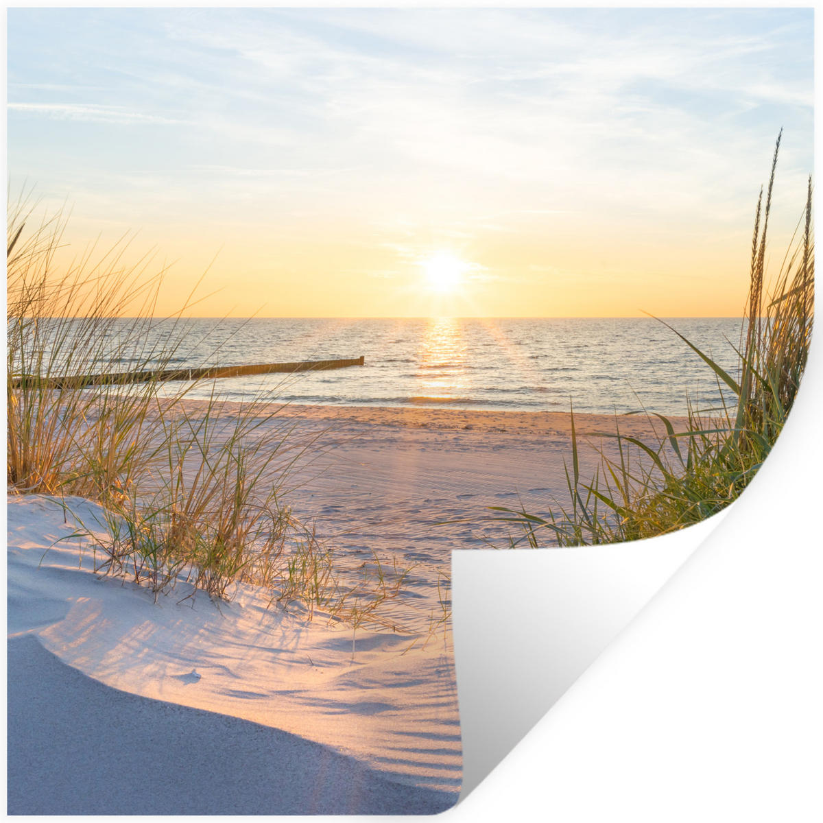 WANDTATTOO Strand - Sonne - Düne - Gras - Sand - Horizont 50x50 cm - Hellblau, Kunststoff (50/50/0.1cm) - MuchoWow