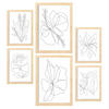 POSTER Set Mit 6 Blumenrahmen 1 Abstrakt Größe A3 & A4 Rahmen aus hellem Holz - Beige, Papier (29.7/1cm) - Nacnic