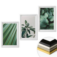 WANDBILDER 3er-Set - 40x60 cm Weißer Rahmen - Ästhetische tropische Blätter - Weiß, Kunststoff (40/60cm) - ArtPrintCave