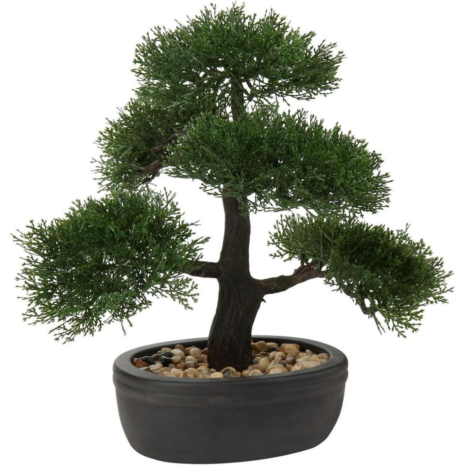 KUNSTBONSAI Zeder mit Keramik-Übertopf Schwarz 36 cm - Grün, Kunststoff (36cm)