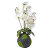 KUNSTBLUME Orchidee weiß mit Moos-Sockel, 60 cm - Weiß, Kunststoff (60cm) - Homescapes