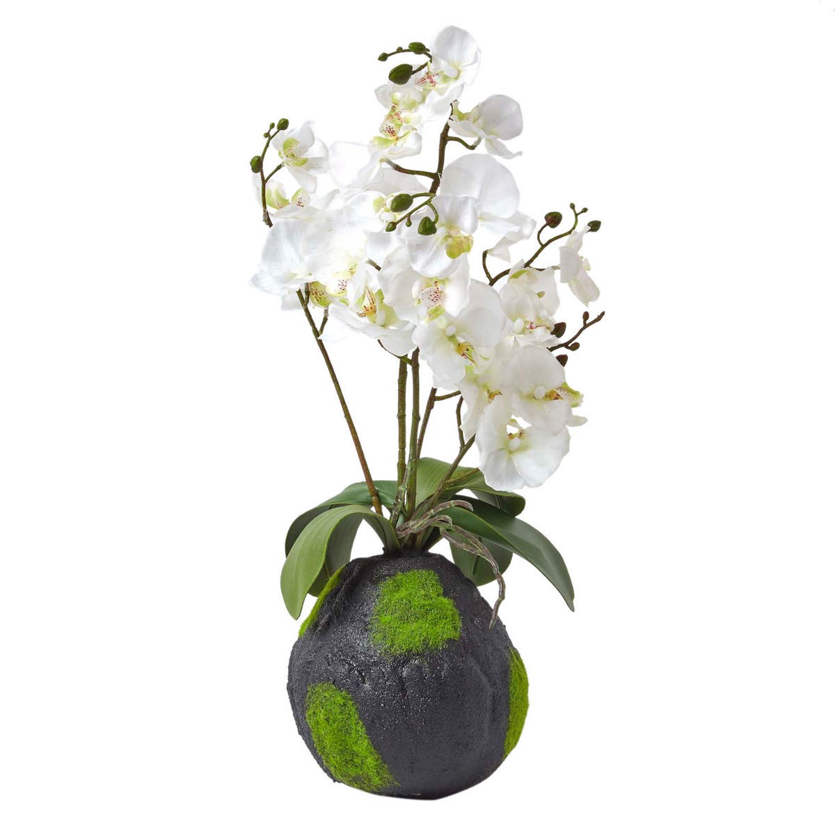 KUNSTBLUME Orchidee weiß mit Moos-Sockel, 60 cm - Weiß, Kunststoff (60cm) - Homescapes