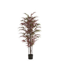 TOPF Bambus Grün 70/60/150 cm - Grün, Kunststoff (150cm) - Light & Living