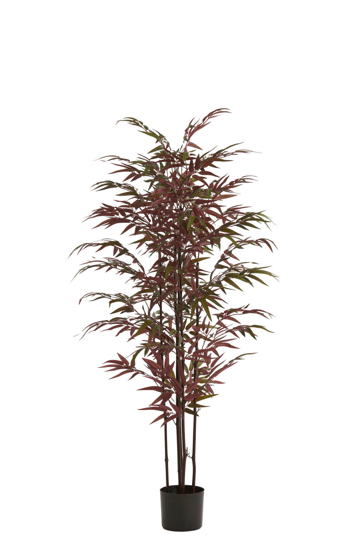 TOPF Bambus Grün 70/60/150 cm - Grün, Kunststoff (150cm) - Light & Living