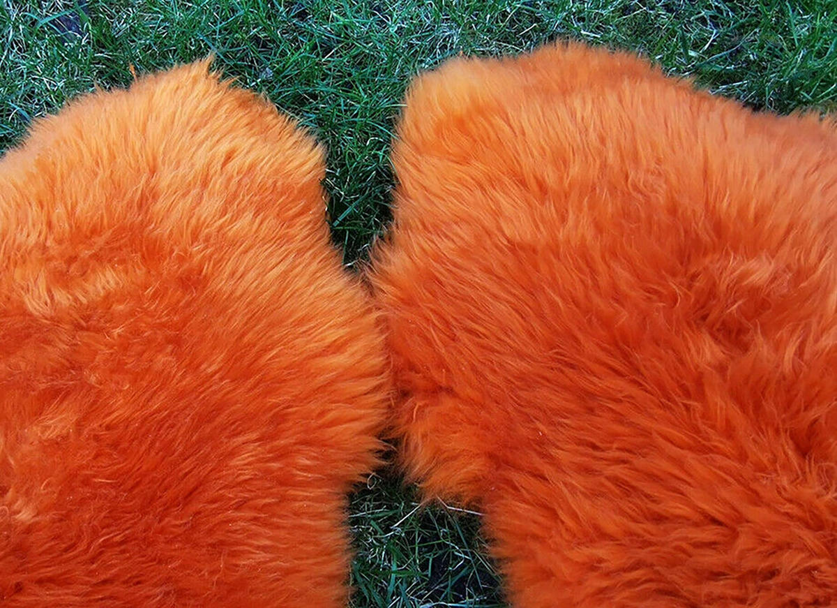 LAMMFELL Öko bunt gefärbt weich Fell Teppich Orange ca. 90 cm - Orange, Fell (50/90cm) - Provellus