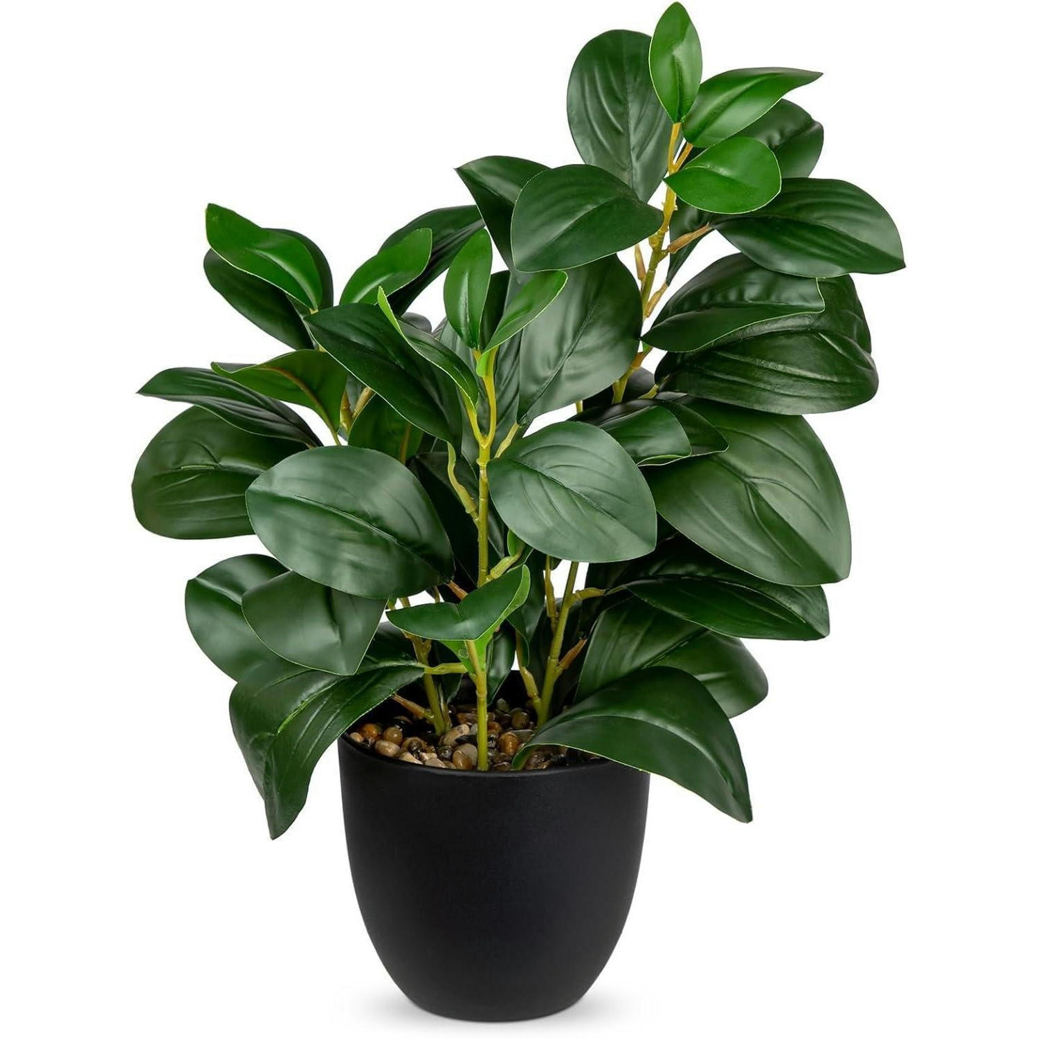 KÜNSTLICHE Pflanze Kamelie 28 cm - Grün, Kunststoff (36cm)