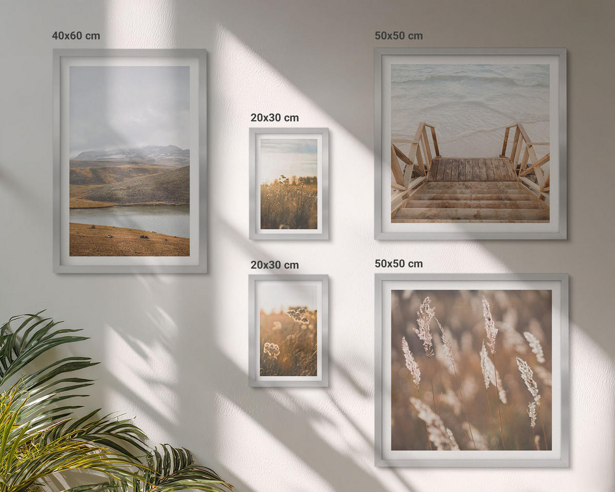BILDER SET 5er Set - 50x50 cm & 20x30 cm & 40x60 cm Silberner Rahmen - Landschaften Wiesen Berge See - Silberfarben, Kunststoff (40/60cm) - TULUP