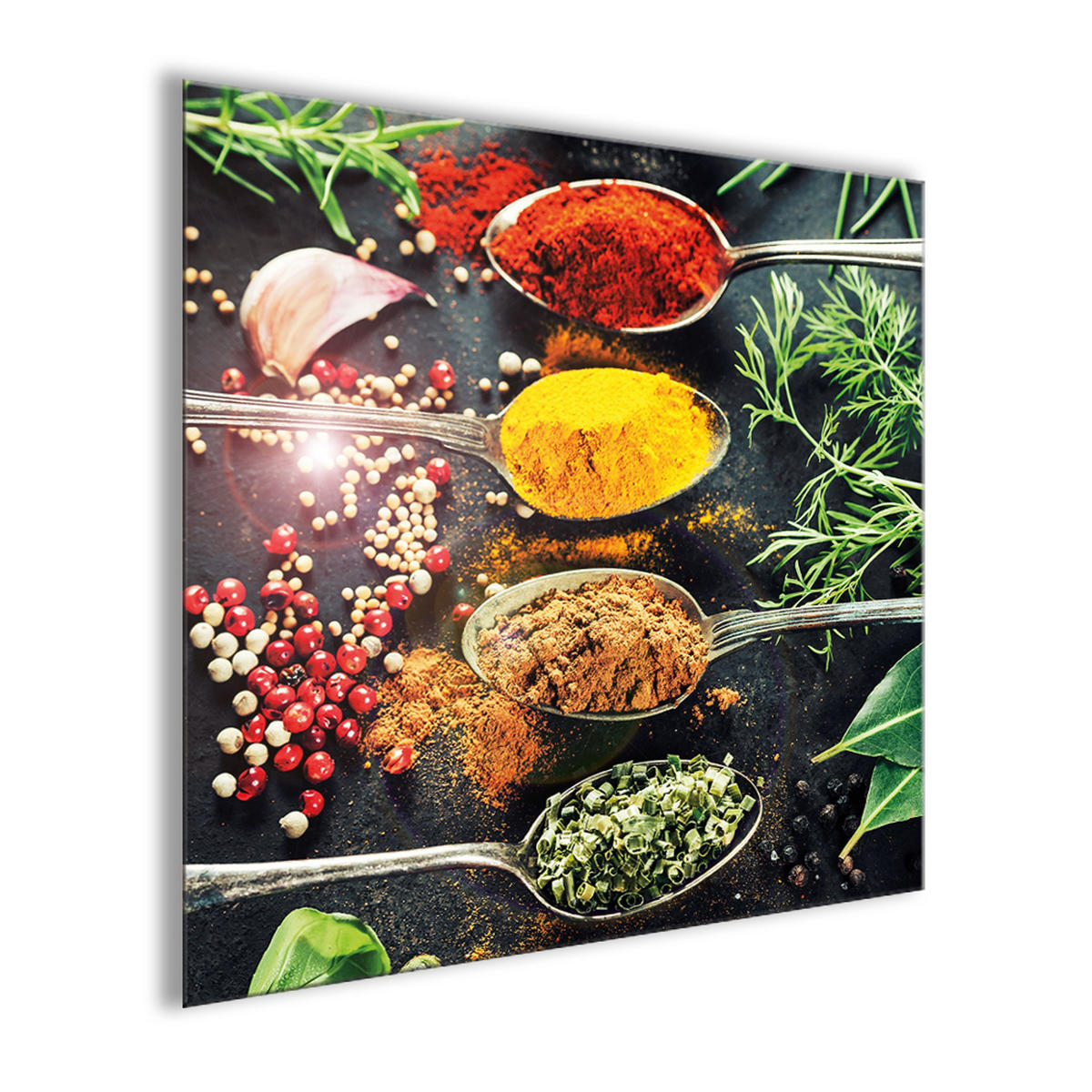 GLASBILD 50x50 cm Küche Gewürze bunt - Rot/Schwarz, Glas (50/50cm) - artissimo