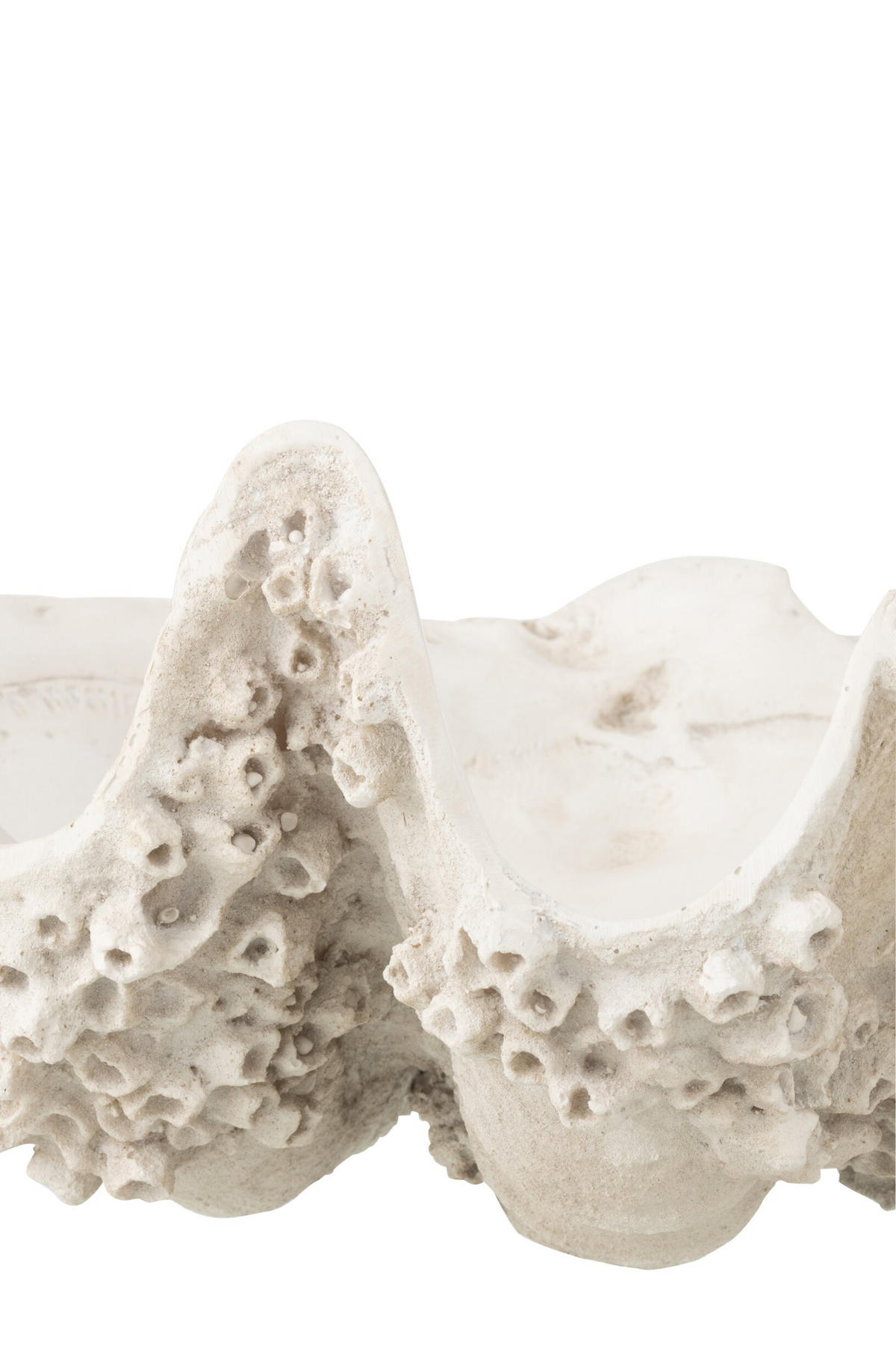 DEKORATIVE SCHÜSSEL MUSCHEL - Weiß, Glas/Naturmaterialien (28/18/52cm) - J-Line