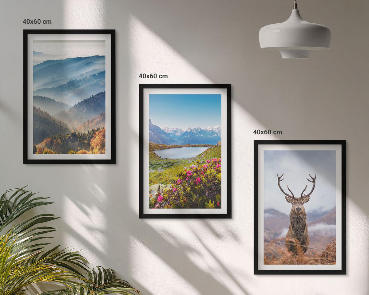 WANDBILDER 3er-Set - 40x60 cm Schwarzer Rahmen - Natur des Bergseehirsches - Schwarz, Kunststoff (40/60cm) - ArtPrintCave