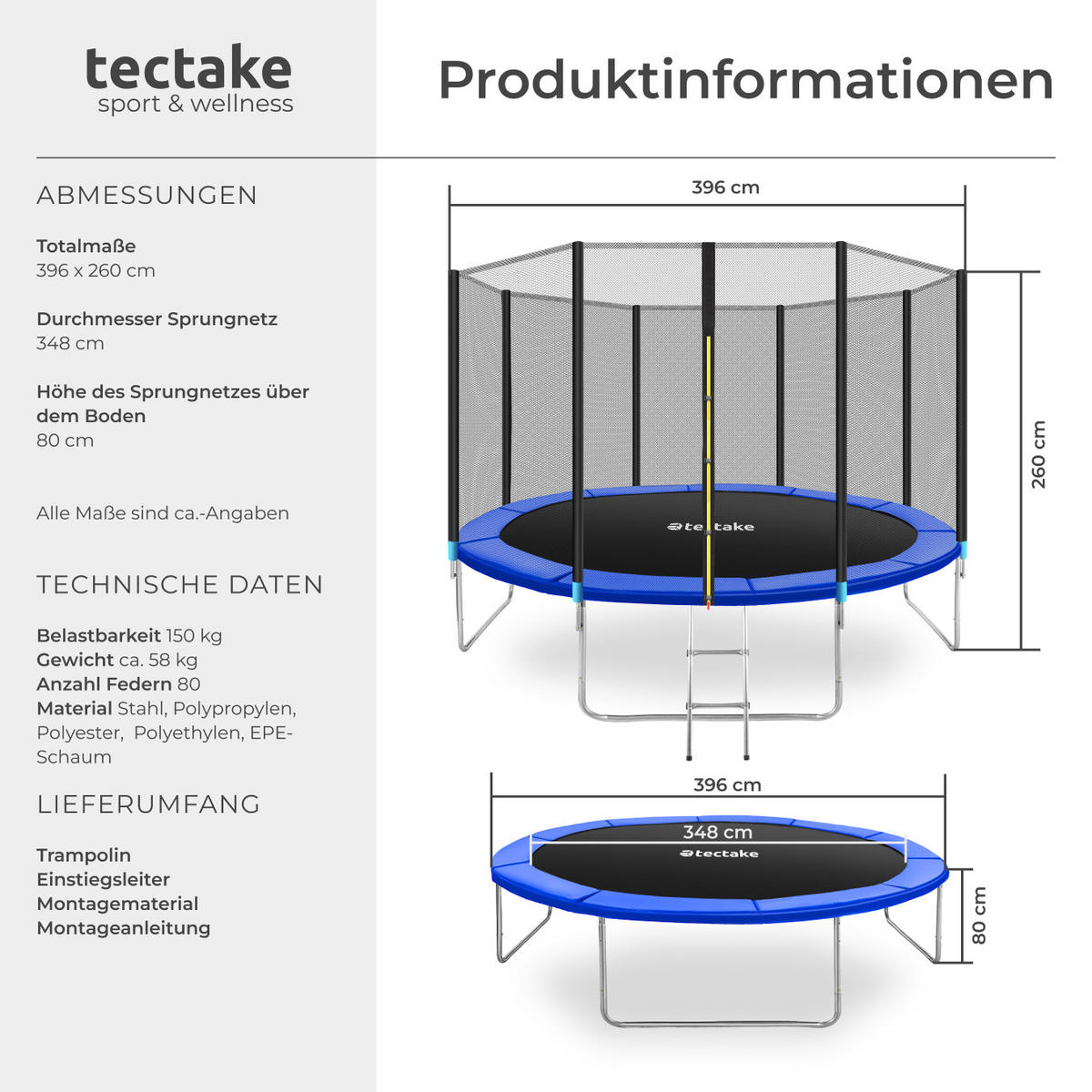 TRAMPOLIN Garfunky,inklusive Einstiegsleiter,schwarz/blau - Blau/Schwarz, Metall (396/260/396cm) - tectake