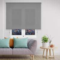 SEITENZUGROLLO lichtdurchlässig Basico - Grau, Textil (90/250/250cm) - VIEWTEX