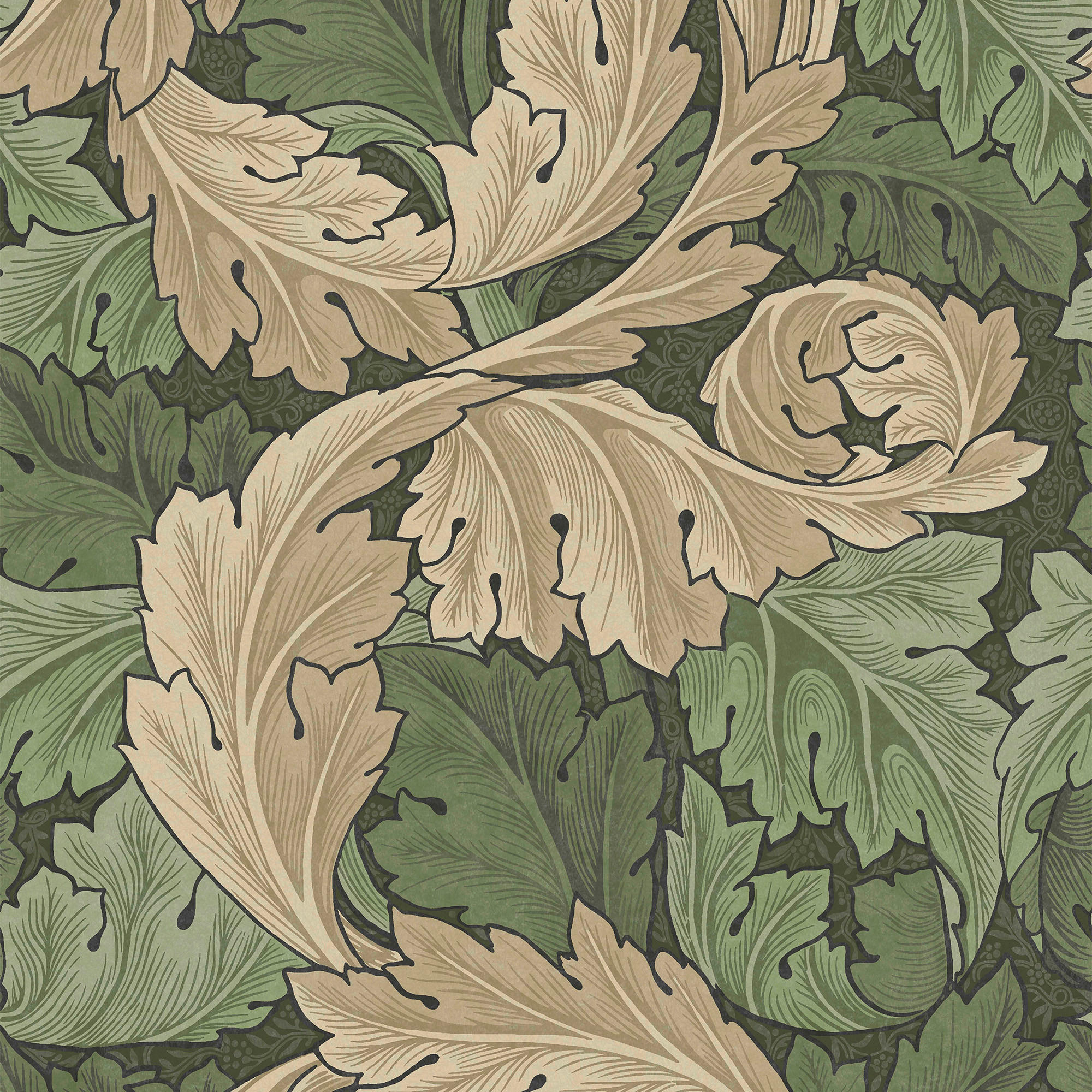 VLIESTAPETE Akanthus Grün - Grün, Papier/Kunststoff (52/1000cm) - Graham & Brown