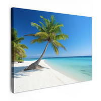 LEINWANDBILD Strand - Palme - Tropisch - Meer Wandbilder 80x60 cm - Grün, Textil (80/60cm) - MuchoWow