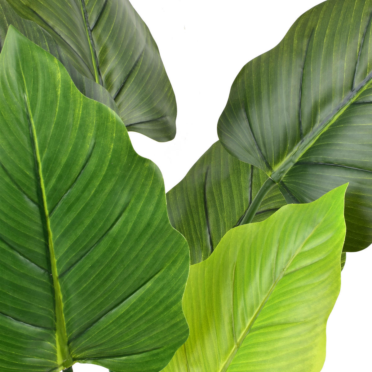 KUNSTPFLANZE Virdis Grün 40/25/65 cm Kunstoff - Grün, Kunststoff (65cm) - Mondex