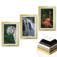 WANDBILDER 3er Set - 20x30 cm Goldrahmen - Tiger Wasserfall Flamingos Natur - Goldfarben, Kunststoff (20/30cm) - ArtPrintCave