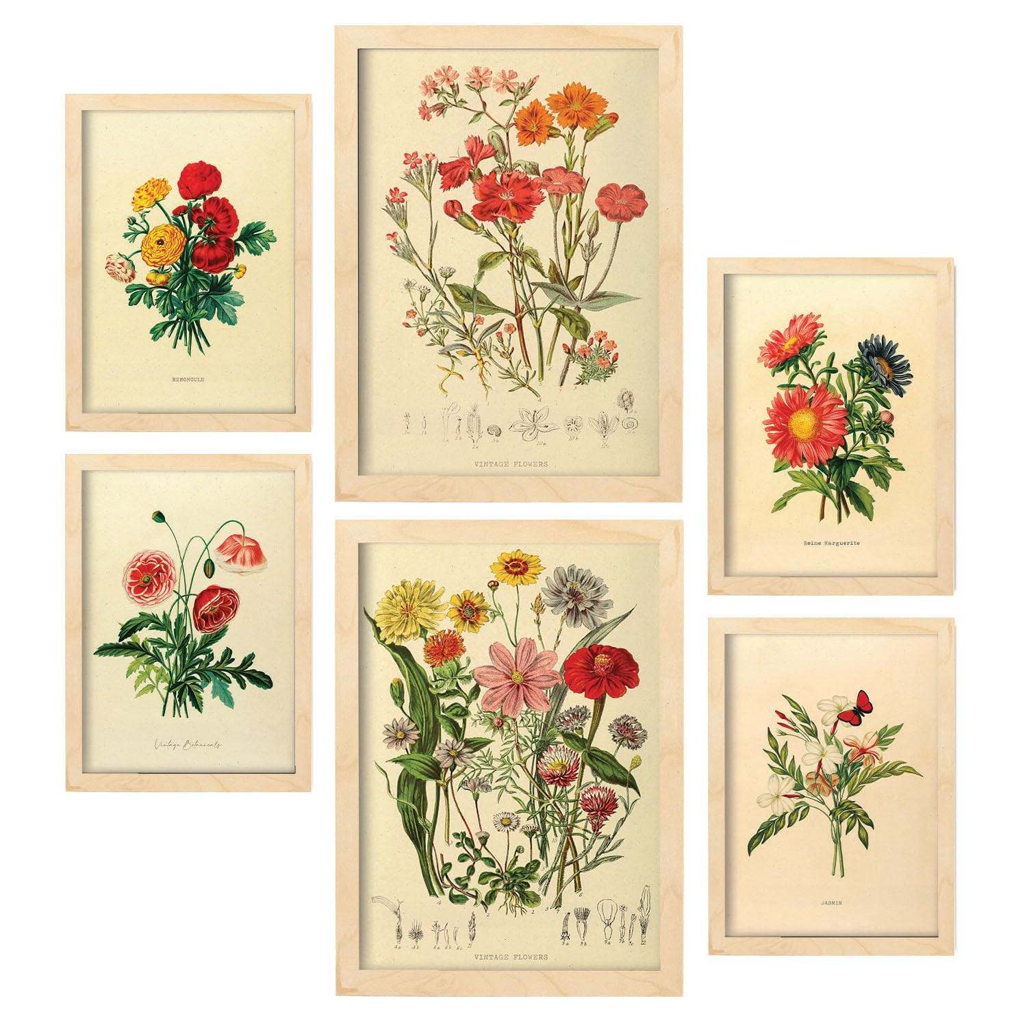POSTER Set Mit 6 Blumensträuße 2 In Vintage A3 & A4 Rahmen Aus Hellem Holz - Beige, Papier (29/3cm) - Nacnic