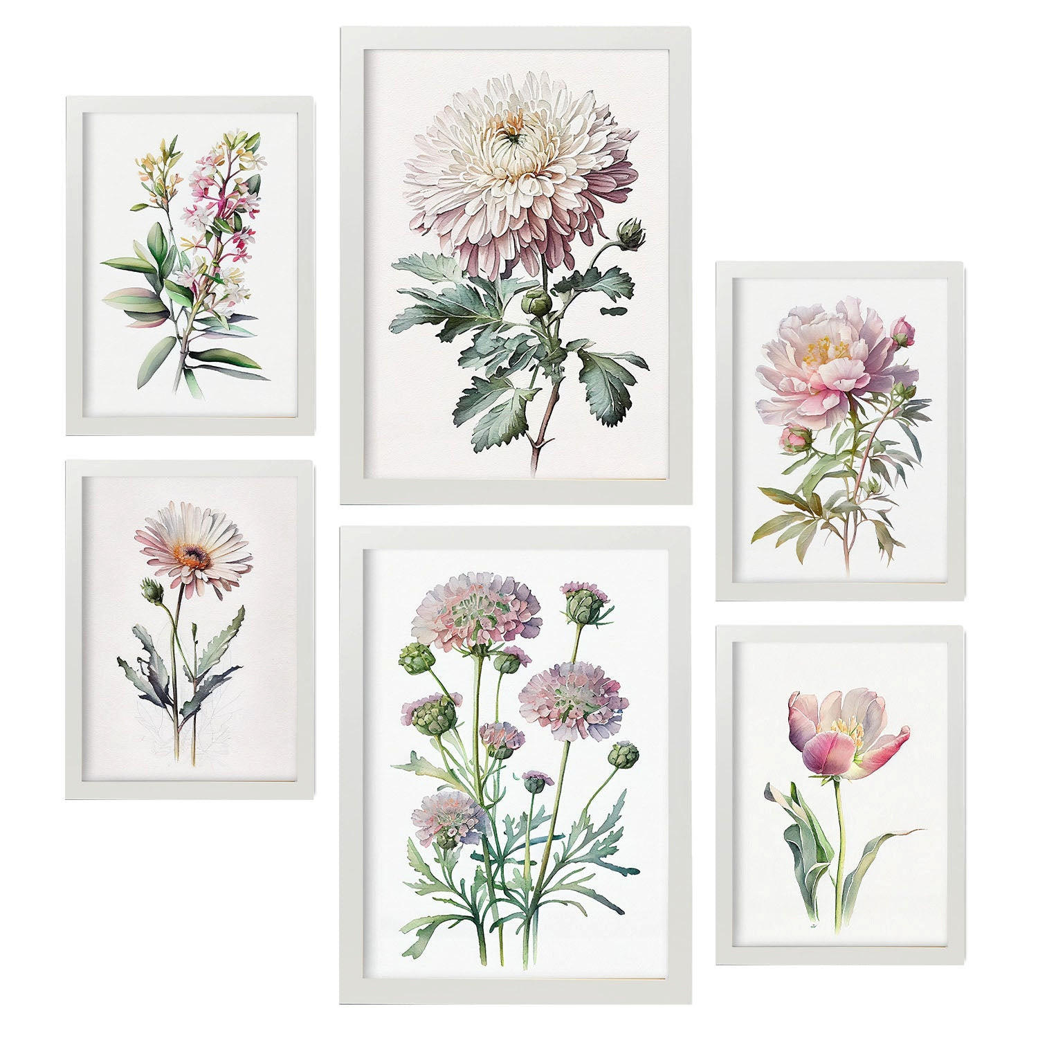 POSTER Set Mit 6 Pinke Blumen Vollfarbige Natur Und Botanikdrucke Mit Blumenmotiven Auf Reinweißen Hintergründen A3 & A4 Weißer Rahmen - Weiß, Papier (29/3cm) - Nacnic