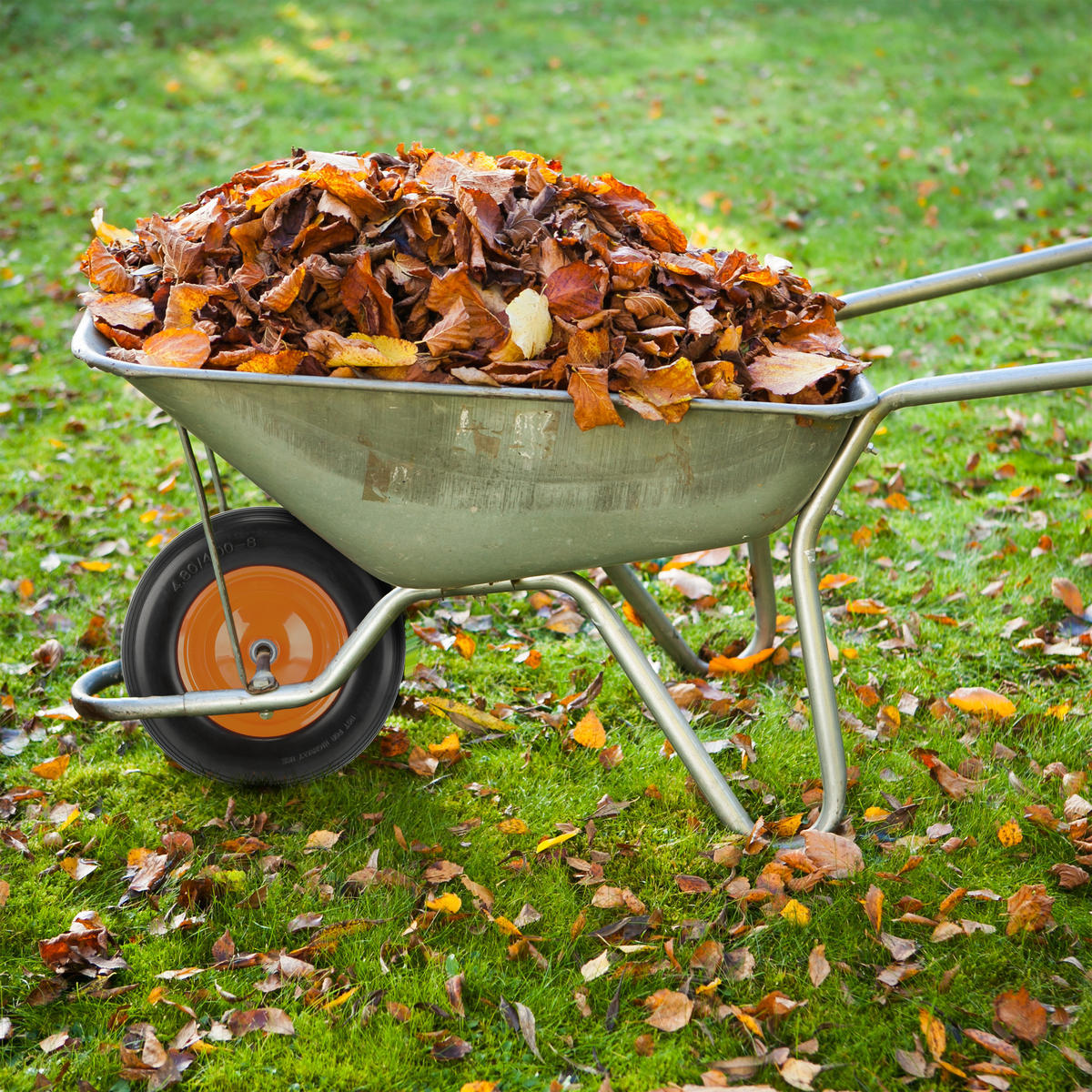 SCHUBKARRENRAD - Multicolor, Kunststoff/Metall (39/39/8.5cm) - Relaxdays