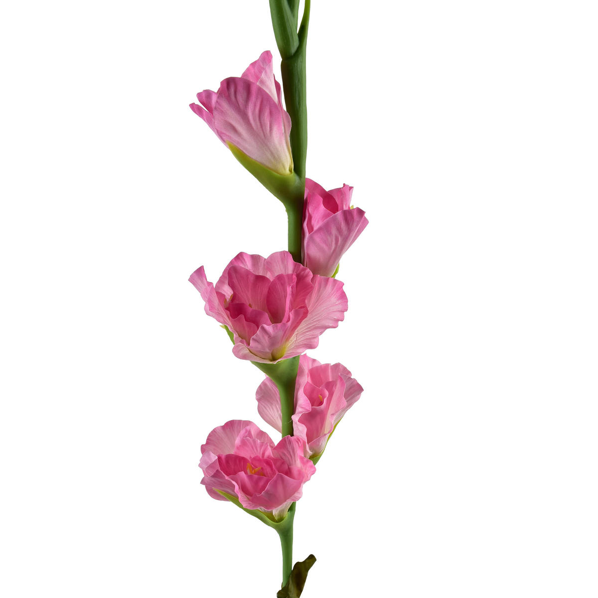 KVĚTINA, plast, starorůžová - starorůžová, plast (85cm) - Mondex