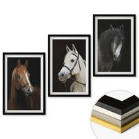 WANDBILDER 3er-Set - 40x60 cm Schwarzer Rahmen - Porträts von Pferden in verschiedenen Fellfarben - Schwarz, Kunststoff (40/60cm) - ArtPrintCave