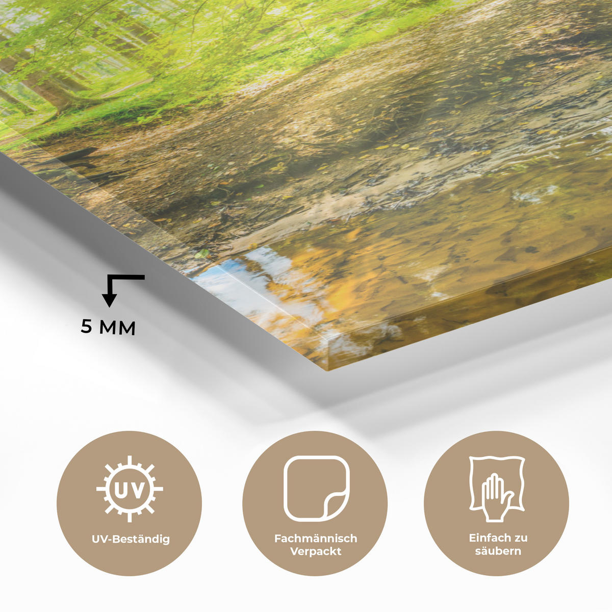ACRYLGLASBILD Wald - Landschaft - Wasser - Bäume - Sonne - Grün - Natur 60x80 cm - Grün, Glas (60/80cm) - MuchoWow