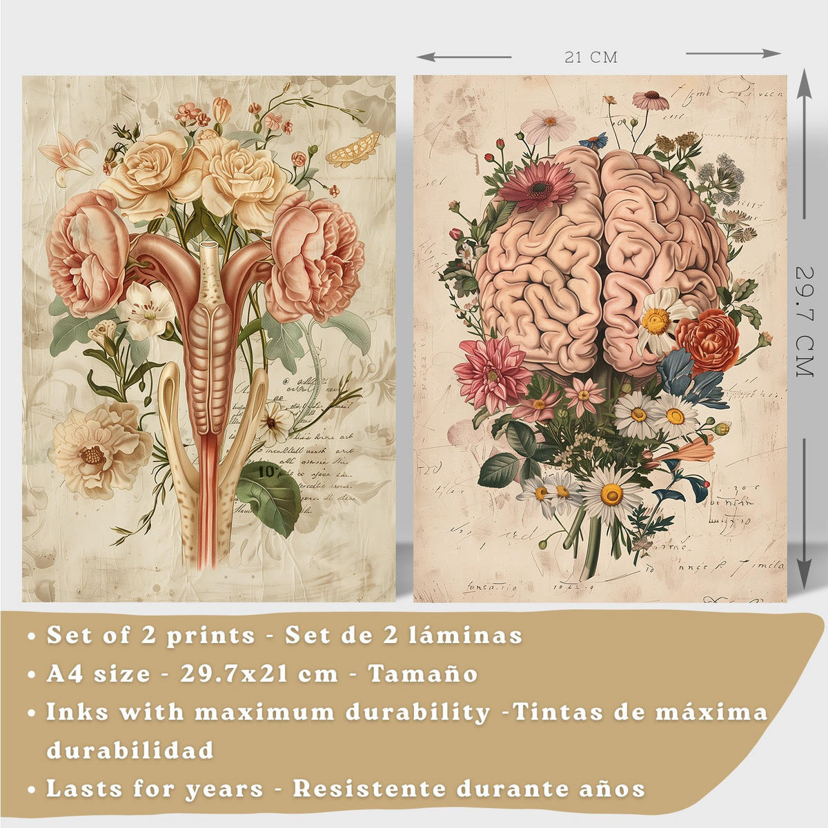 POSTER Set aus 2 Weibliche Anatomie Drucke und Wandbilder mit Gehirn und Gebärmutter Botanischer Retro Floraler Stil Größe Leichter Holzrahmen A4 - Beige, Papier (21/29.7/3cm) - Nacnic