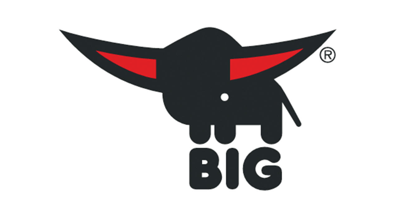 Big Logo