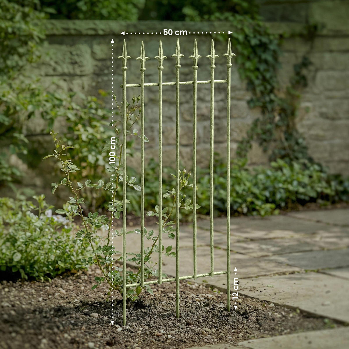 RANKGITTER Metall Antik-Grün - Grün, Metall (50/100/0.7cm) - CLP