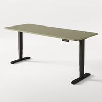 SCHREIBTISCH Elektrisch Höhenverstellbarer HomePro 200x80cm Schwarz/Grün mit Memory-Funktion, Anti-Kollisions Technologie - Schwarz/Grün, Holzwerkstoff (80/200/62cm) - Desktronic