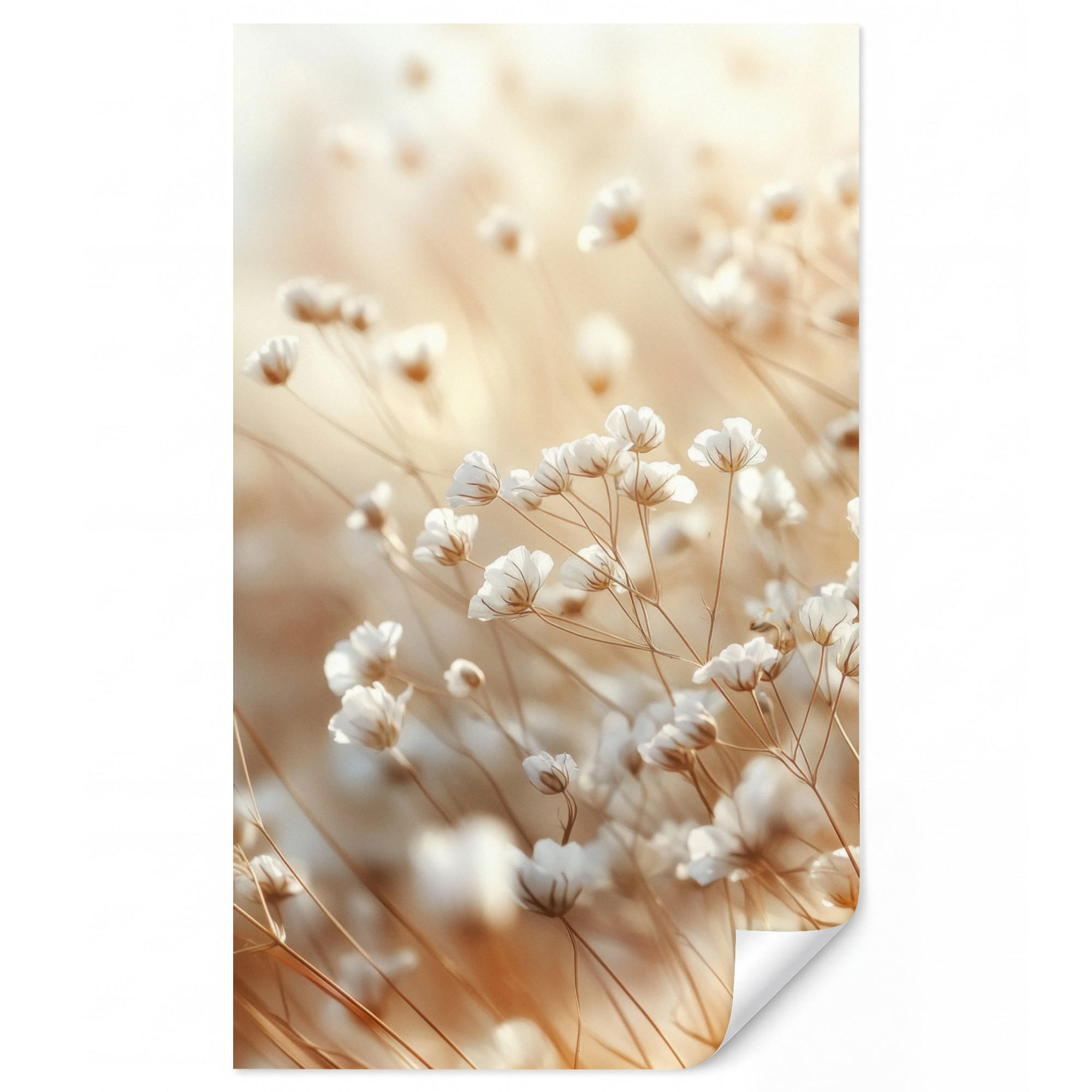 OnlyWow Tapete Creme 140x240 cm