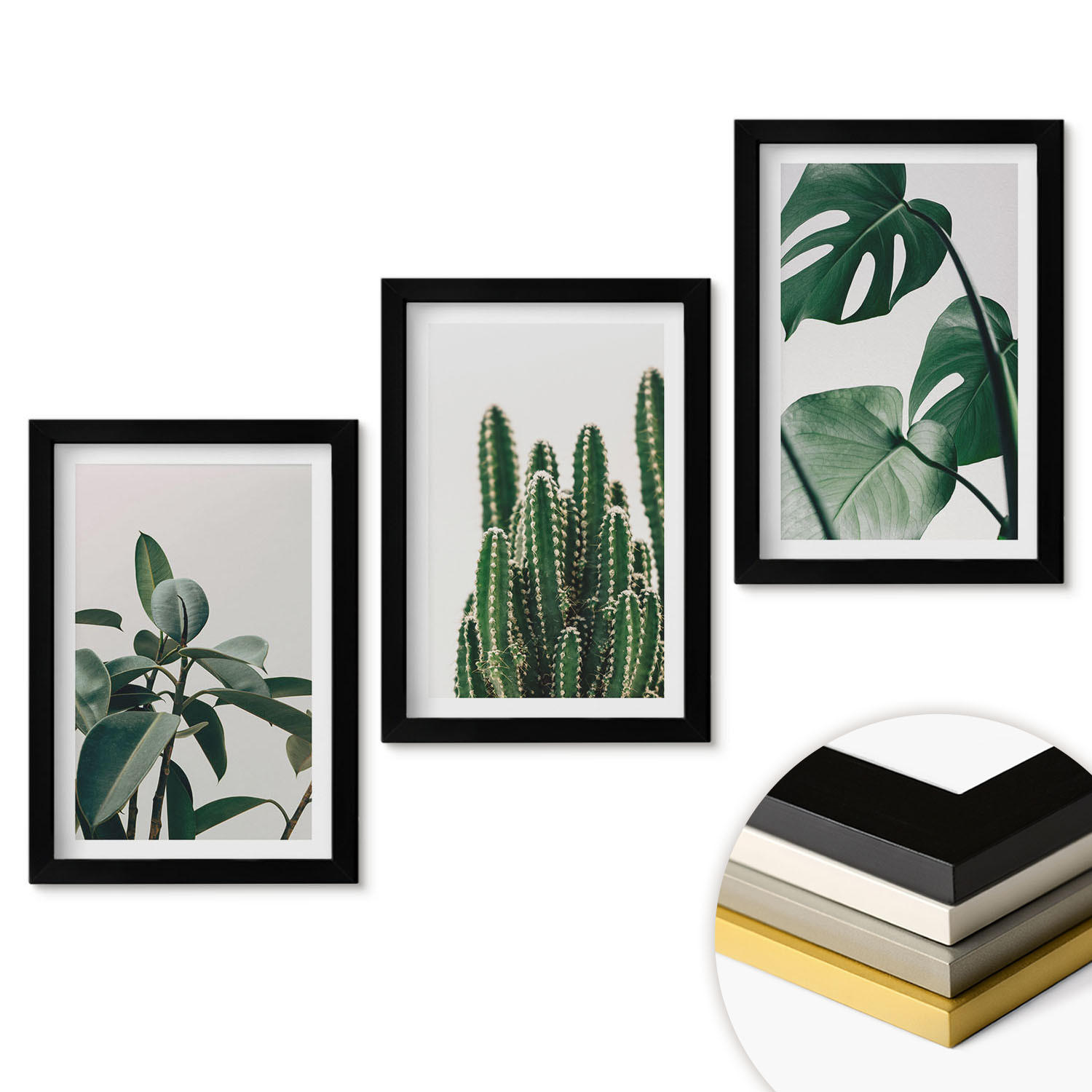 WANDBILDER 3er-Set - 20x30 cm Schwarzer Rahmen - Tropische ästhetische Pflanzen - Schwarz, Kunststoff (20/30cm) - ArtPrintCave
