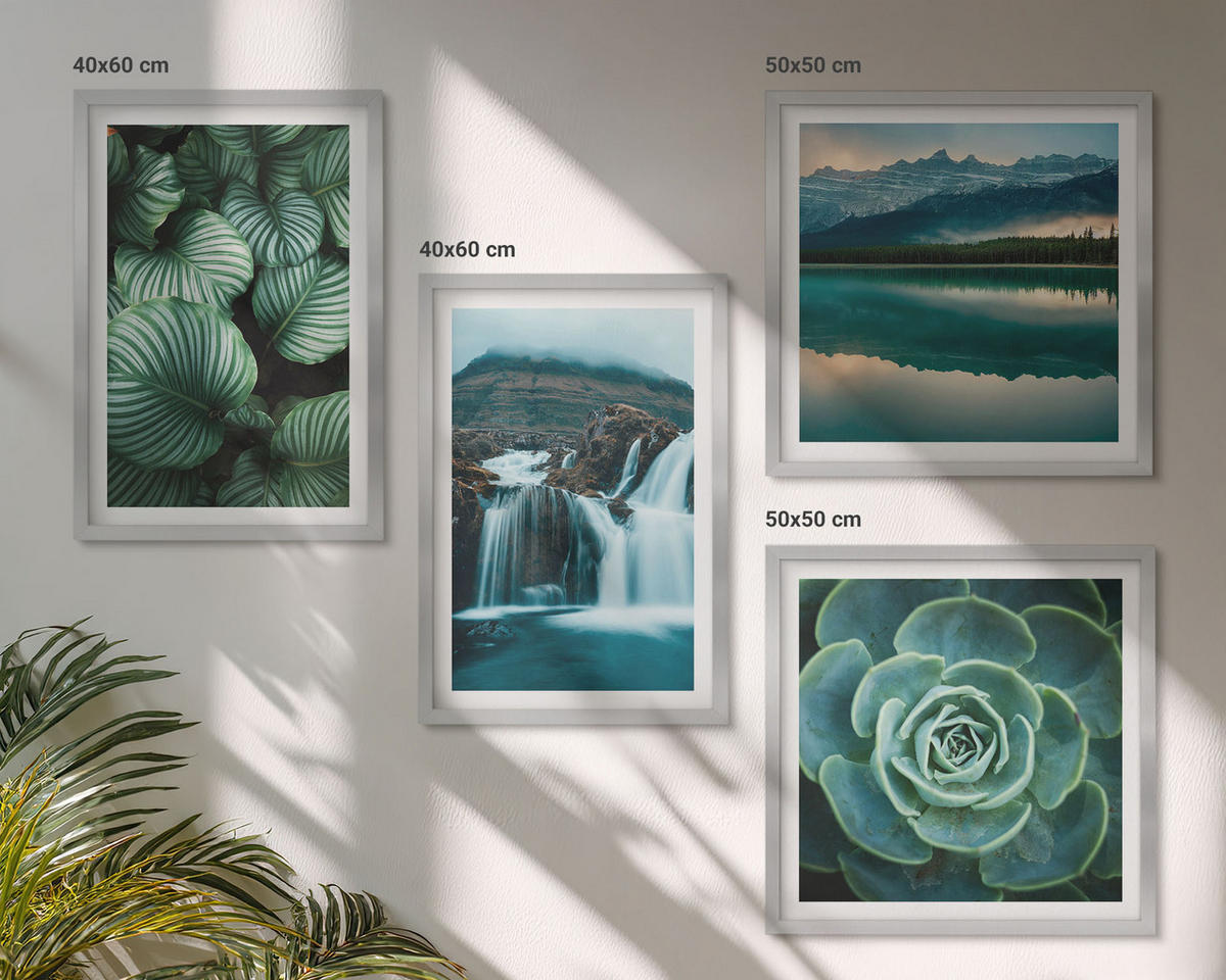 BILDER SET 4er Set - 50x50 cm & 40x60 cm Silberner Rahmen - Nahaufnahmen von Blättern sukkulenter Pflanzen - Silberfarben, Kunststoff (50/50cm) - TULUP