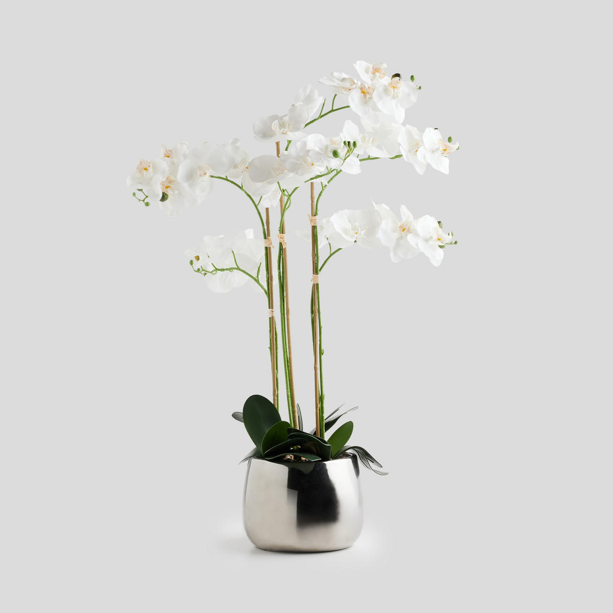 HERZSTÜCK Orchide - Silberfarben, Kunststoff (80cm) - home&you