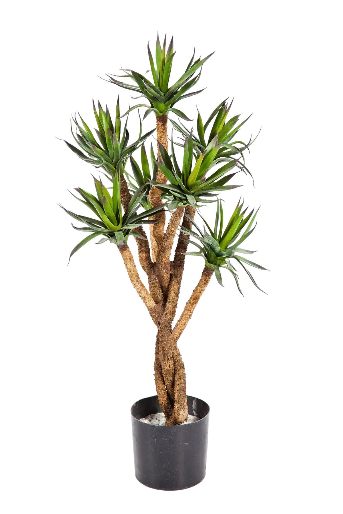 KUNSTBAUM Künstliche Agave - Prince 70 cm - Grün, Kunststoff (70cm) - aplanta