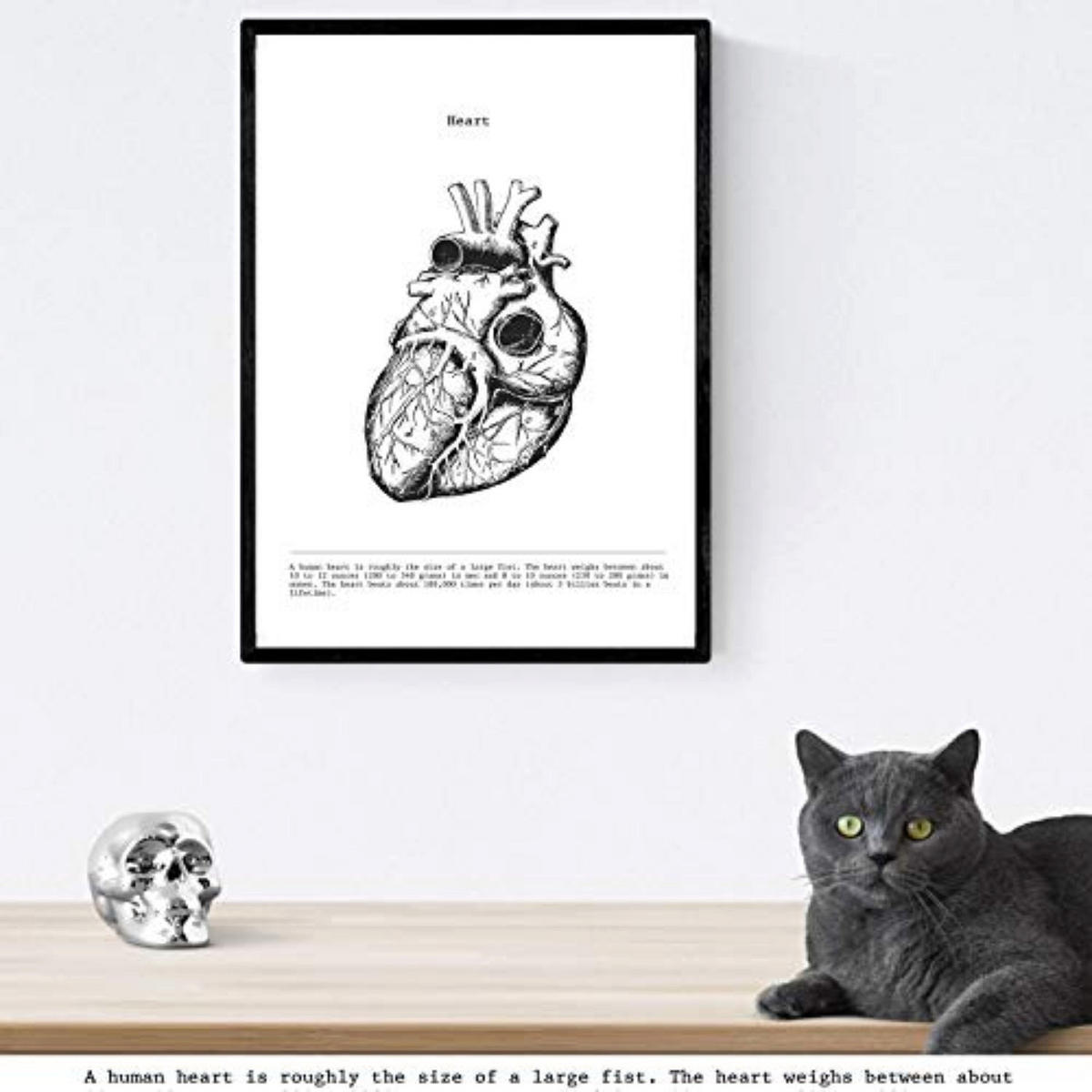 POSTER Set mit 3 Anatomie Vintage Herz Gehirn Lunge Größe A4 Rahmenlos - Klar, Papier (21/1/29.7cm) - Nacnic