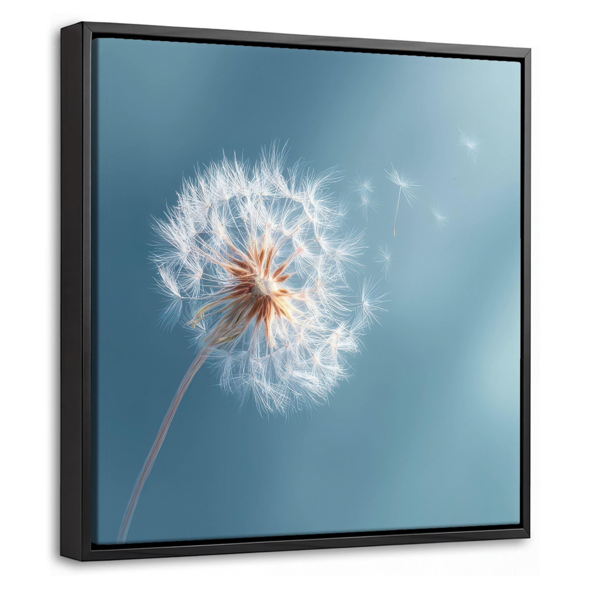 LEINWAND Bilder mit Rahmen - Löwenzahn - Wind - Blau - 20x20 - Blaugrau, Textil (20/20cm) - MuchoWow