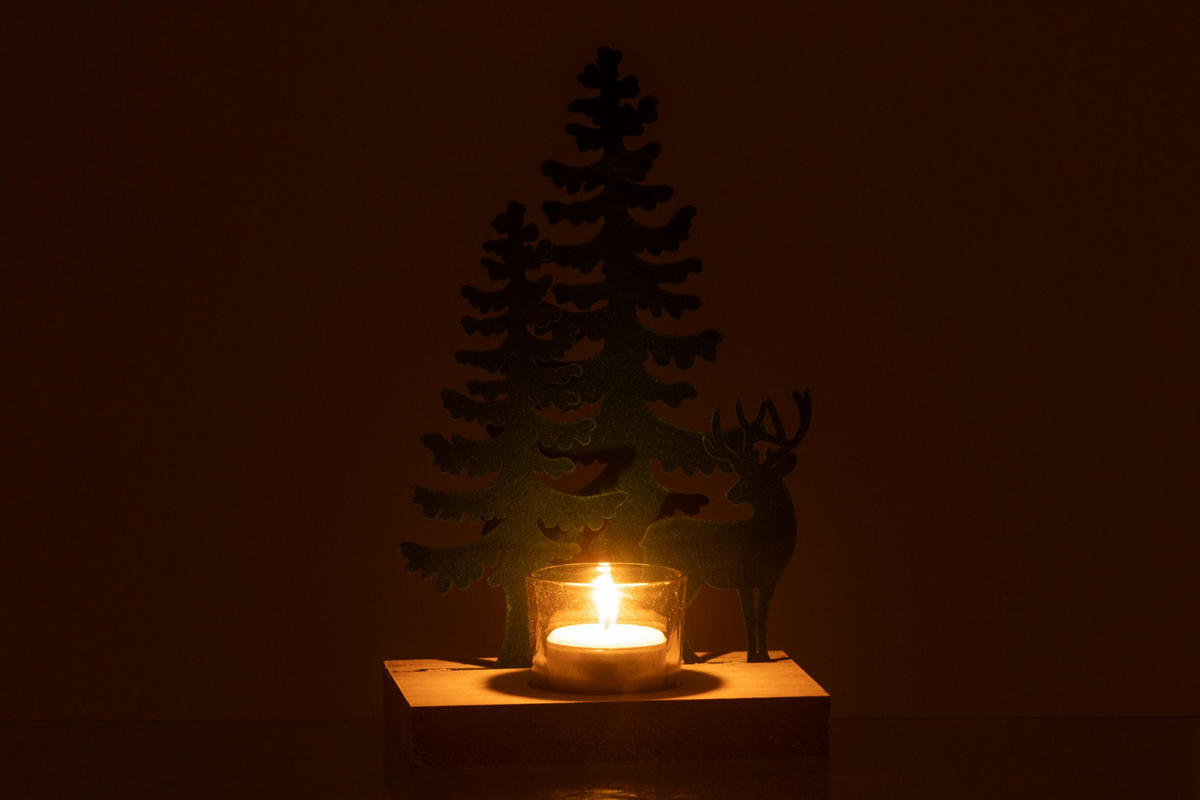 WINDLICHT Gehölz - Grün, Metall (10/22cm) - J-Line