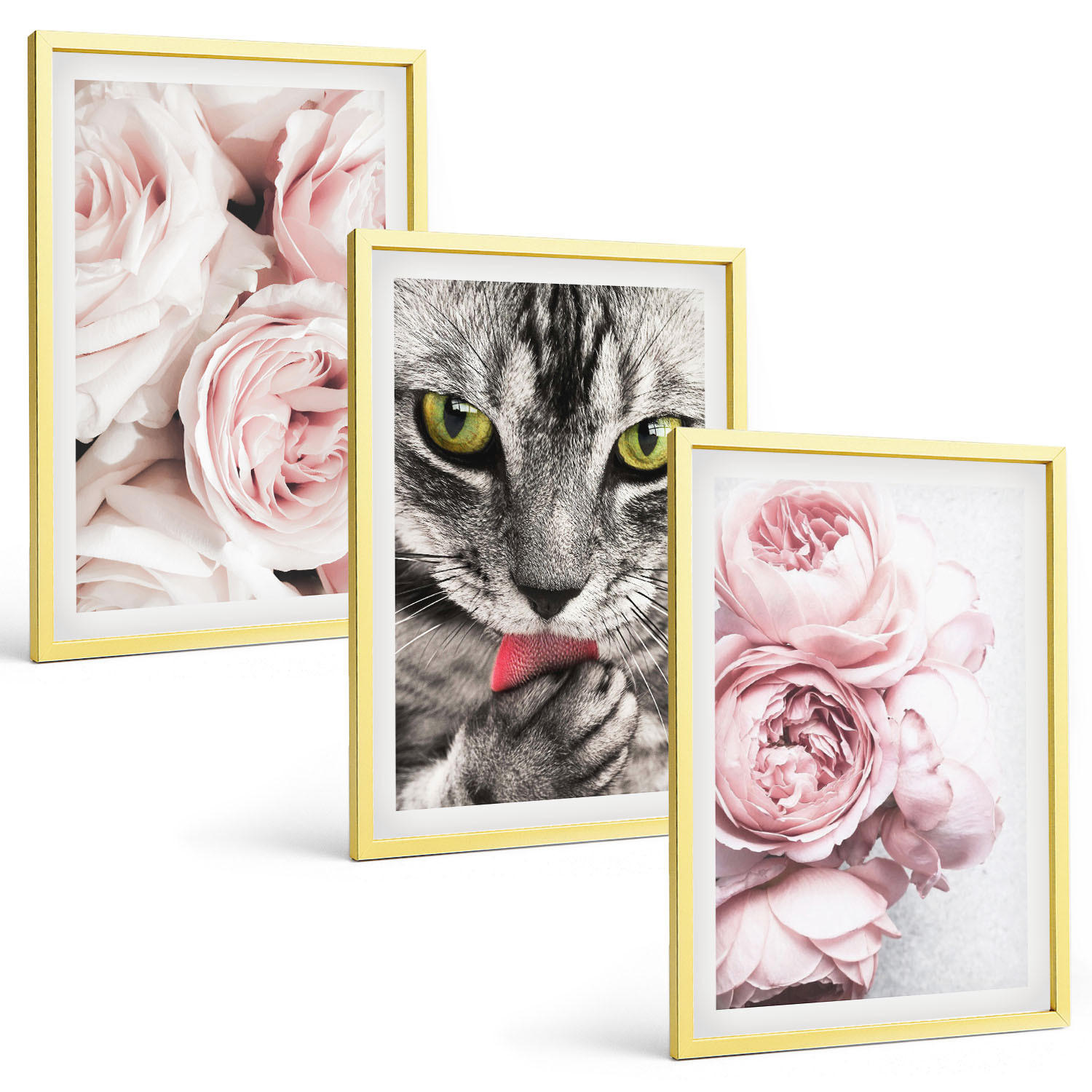 BILDER SET 3er Set - 40x60 cm Goldrahmen - Katze in rosa Blumen - Goldfarben, Kunststoff (40/60cm) - TULUP