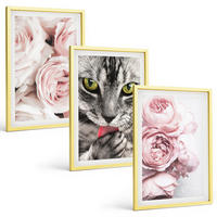 BILDER SET 3er Set - 40x60 cm Goldrahmen - Katze in rosa Blumen - Goldfarben, Kunststoff (40/60cm) - TULUP