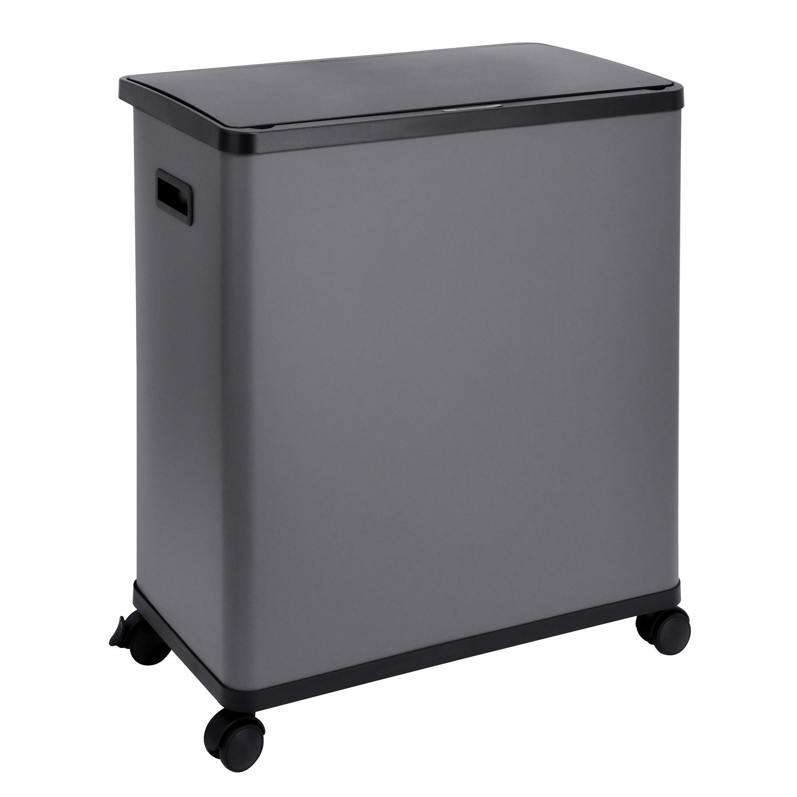 MÜLLEIMER SR2X30 60L Grau - Grau, Metall (57/60/34cm) - SVITA