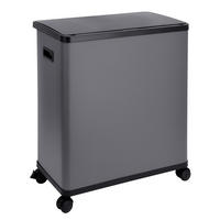 MÜLLEIMER SR2X30 60L Grau - Grau, Metall (57/60/34cm) - SVITA