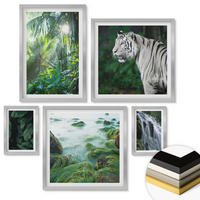 WANDBILDER 5er Set - 50x50 cm & 20x30 cm & 40x60 cm Silberner Rahmen - Blätter und Blüten in verschiedenen Farben - Silberfarben, Kunststoff (40/60cm) - ArtPrintCave