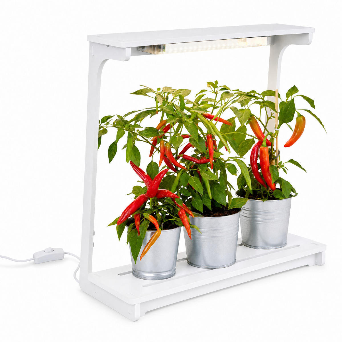 LED-PFLANZENLEUCHTE Northpoint 14W Vollspektrum 4000K mit 16h Timer Stecksystem - Weiß, Kunststoff (46.9/48/19.9cm) - Northpoint