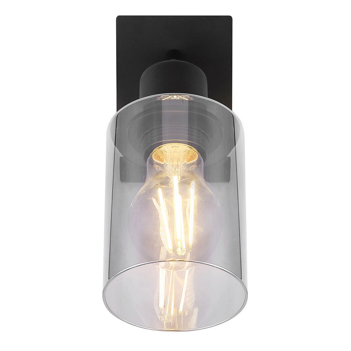 LED WANDLEUCHTE HADERA Glas Grau - Grau, Glas (9/20/9cm) - Globo Lighting