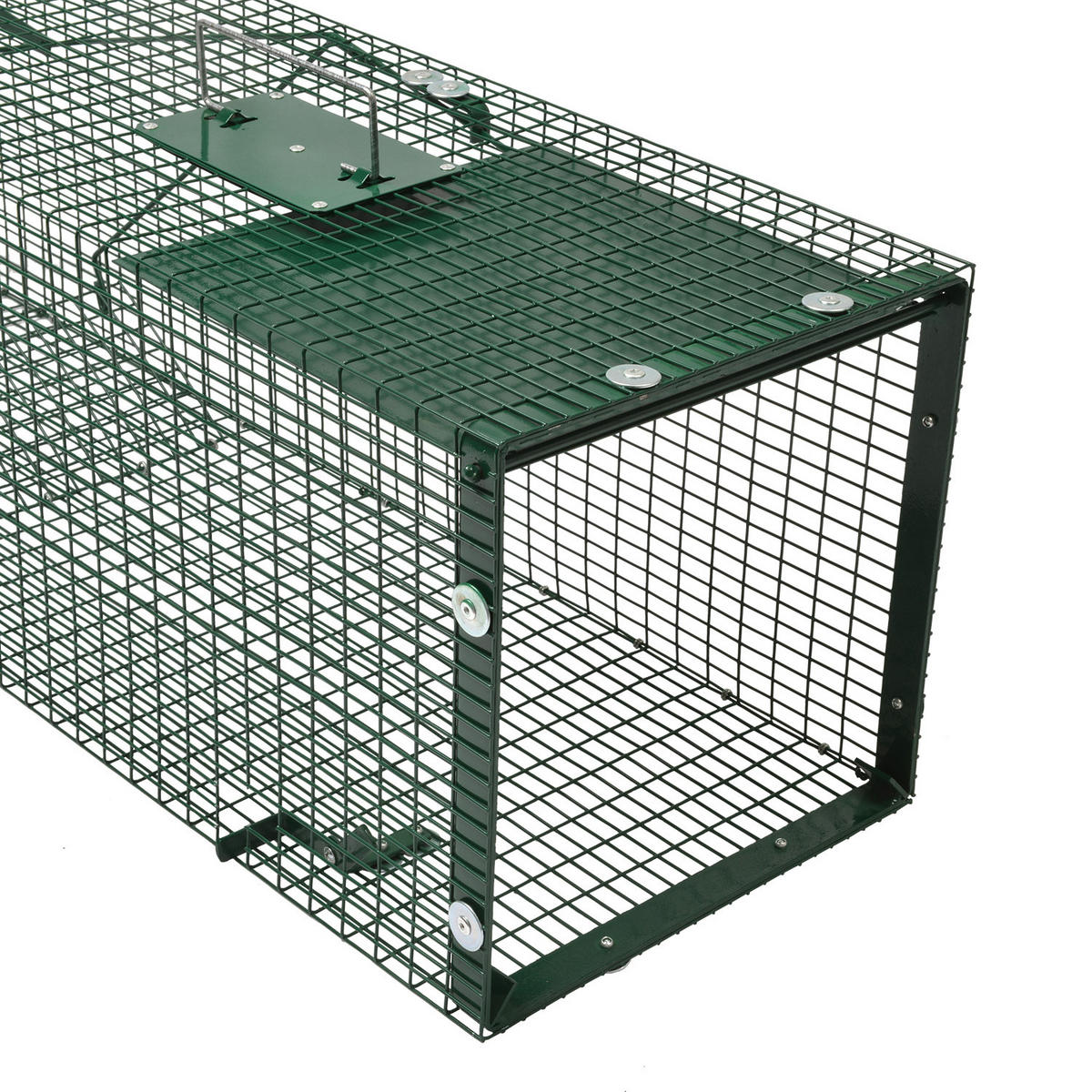 MOORLAND Safe 5002 Lebendfalle 30x30x90 cm – 1 Eingang, 1,8 mm Drahtgitter (RAL 6005) - Grün, Holz (30/30/90cm) - Moorland