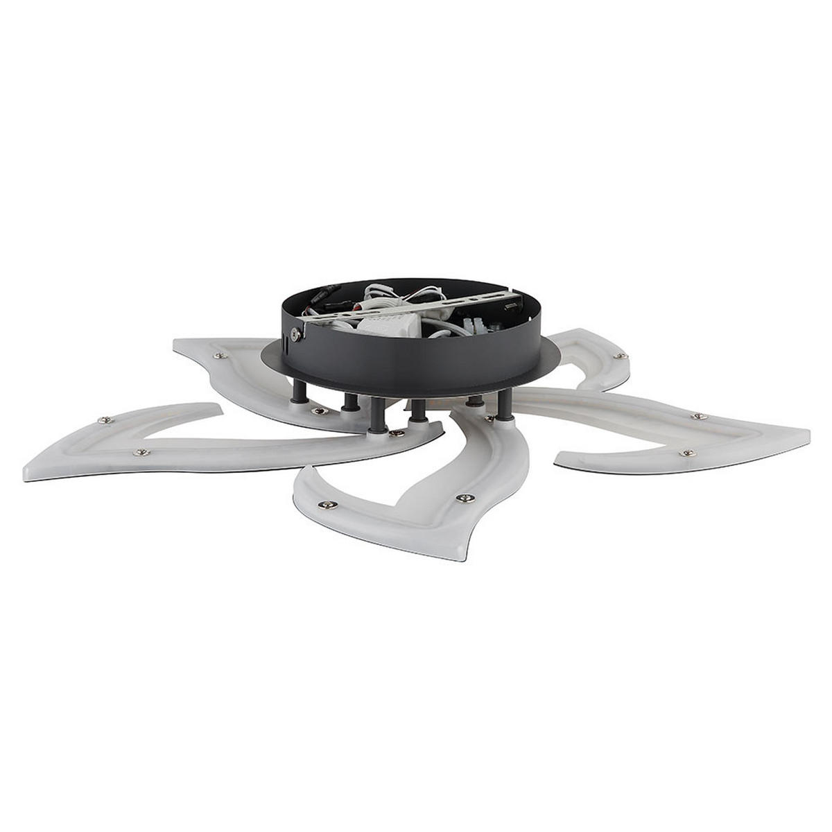 LED DECKENLEUCHTE Metall Glas Anthrazit, Opal, CCT - Anthrazit, Metall (55/55/8.8cm) - Globo Lighting