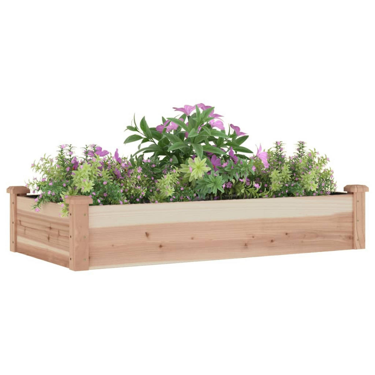 HOCHBEET mit Einsatz 120x60x25 cm Massivholz Tanne - Naturfarben, Holz (60/25/120cm) - furnicato