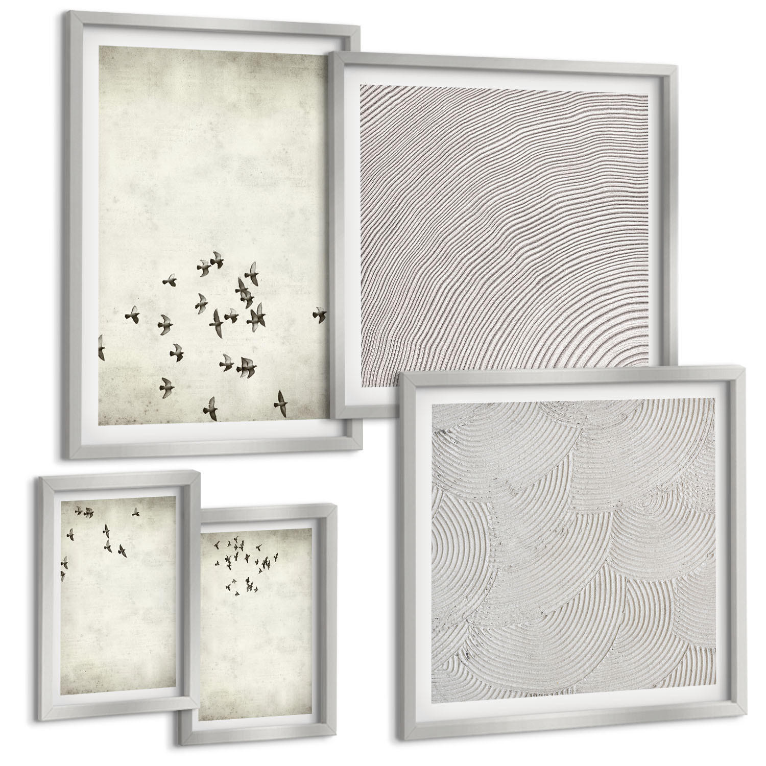 BILDER SET 5er Set - 50x50 cm & 20x30 cm & 40x60 cm Silberner Rahmen - Minimalistische Vogelmalerei - Silberfarben, Kunststoff (40/60cm) - TULUP
