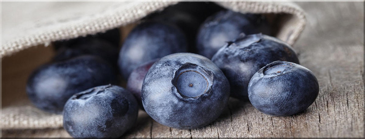 GLASBILD 80x30 cm Küche Obst blau - Blau, Glas (80/30cm) - artissimo